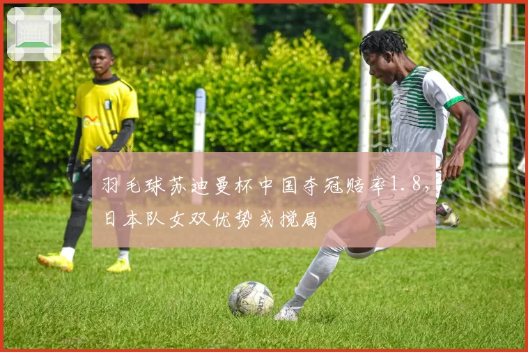 羽毛球苏迪曼杯中国夺冠赔率1.8，日本队女双优势或搅局