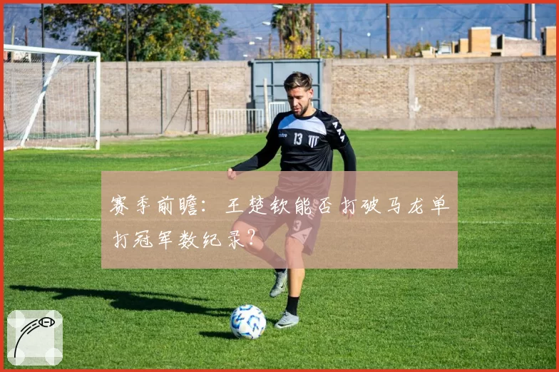 赛季前瞻：王楚钦能否打破马龙单打冠军数纪录？