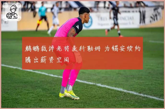 鹈鹕裁掉老将麦科勒姆 为锡安续约腾出薪资空间